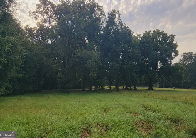 Photo 2 of Sale Pending at 0 Bankston Rd, Meansville, GA 30256 | MLS# 10829728 | Listing updated on 2026-08-31