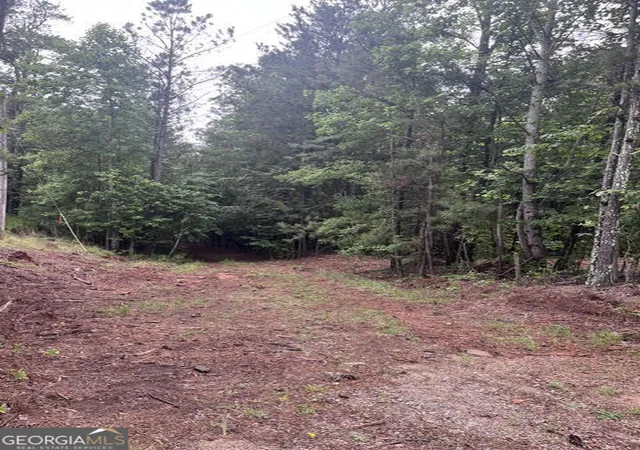 Land for sale at 0 Dobbs Mountain Rd, Winston, GA 30187 | MLS# 10779598