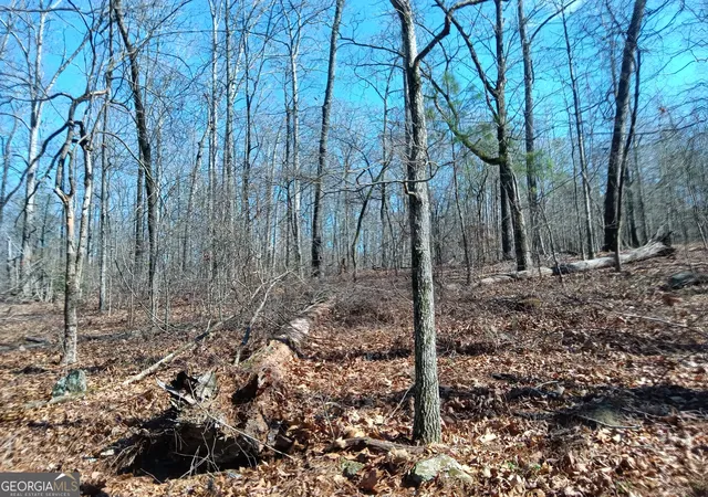 Photo 3 of Land for sale at 455 Rivers Rd, Fayetteville, GA 30214 | MLS# 10703169 | Listing updated on 2026-03-18