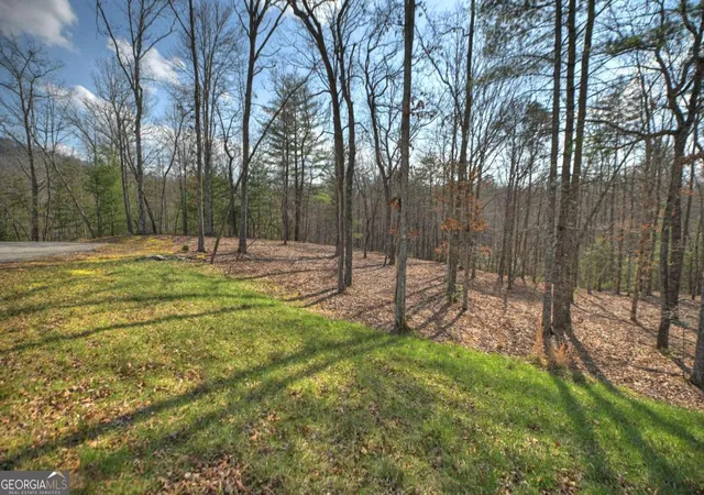 3rd image of Lt 13 Rocky Rdg, Mineral Bluff, GA 30559 | MLS# 10721466