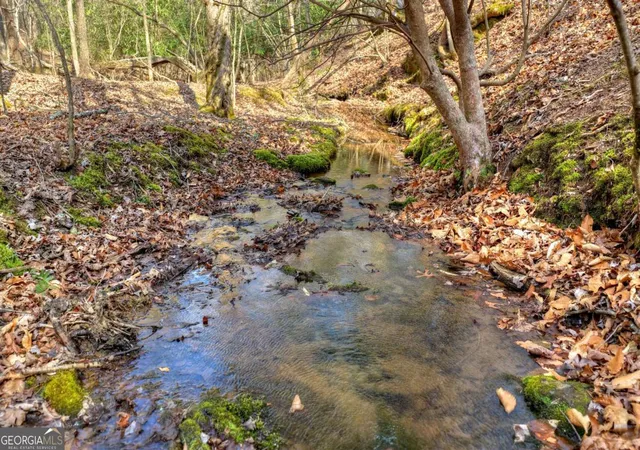 4th image of Lt 13 Rocky Rdg, Mineral Bluff, GA 30559 | MLS# 10721466