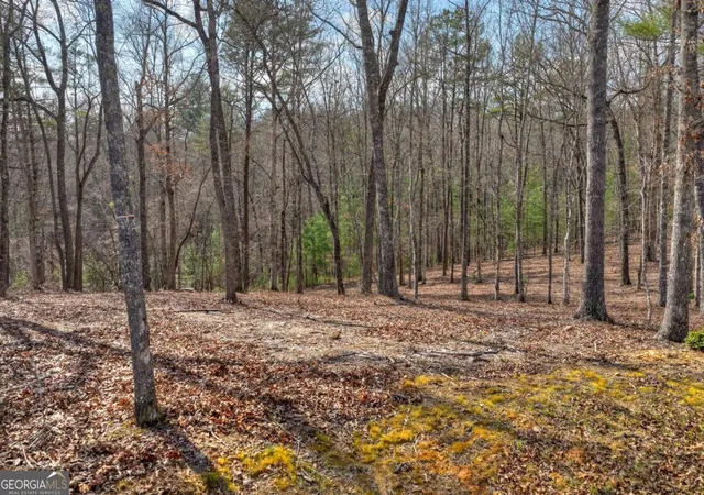 5th image of Lt 13 Rocky Rdg, Mineral Bluff, GA 30559 | MLS# 10721466