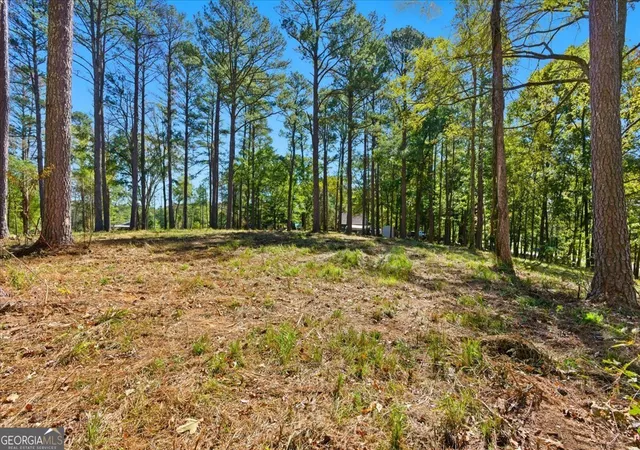 Homes for sale in Cedartown, GA | 0 Cave Spring Rd, Cedartown, GA 30125 | MLS# 10756189