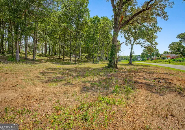 83rd image of 0 Cave Spring Rd, Cedartown, GA 30125 | MLS# 10756189