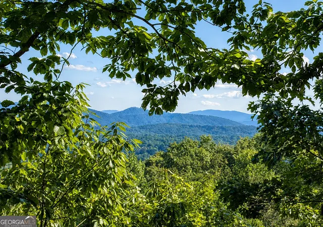 2nd image of 629 My Mountain Rd #206, Morganton, GA 30560 | MLS# 10802586