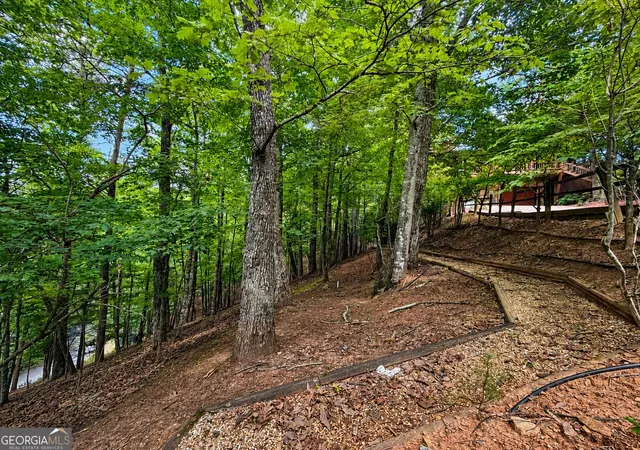 37th image of 629 My Mountain Rd #206, Morganton, GA 30560 | MLS# 10802586
