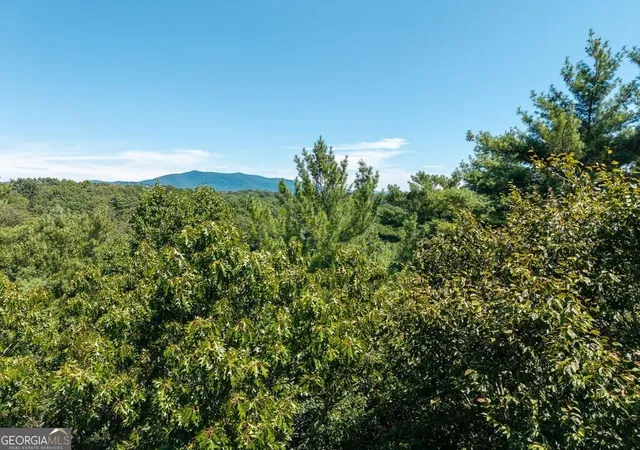 Photo 13 of Land for sale at Lot 100 River Oaks Ter, Ellijay, GA 30536 | MLS# 10831878 | Listing updated on 2026-09-07