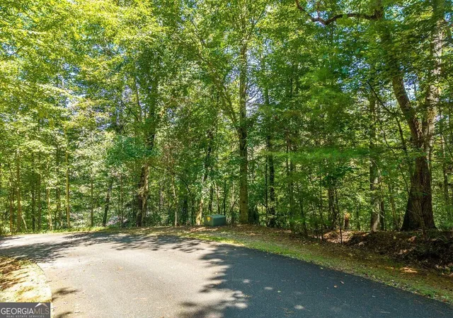Photo 4 of Land for sale at Lot 100 River Oaks Ter, Ellijay, GA 30536 | MLS# 10831878 | Listing updated on 2026-09-07