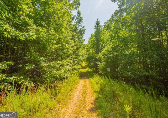 Photo 3 of Land for sale at 0 Old Cherokee Way, Dawsonville, GA 30534 | MLS# 10801574 | Listing updated on 2026-07-22