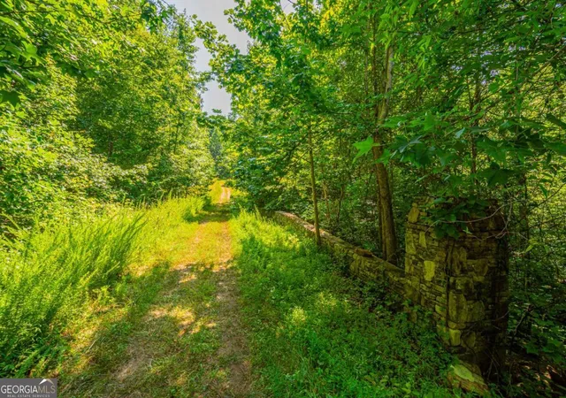 Photo 3 of Land for sale at 0 Old Cherokee Way, Dawsonville, GA 30534 | MLS# 10801574 | Listing updated on 2026-07-22