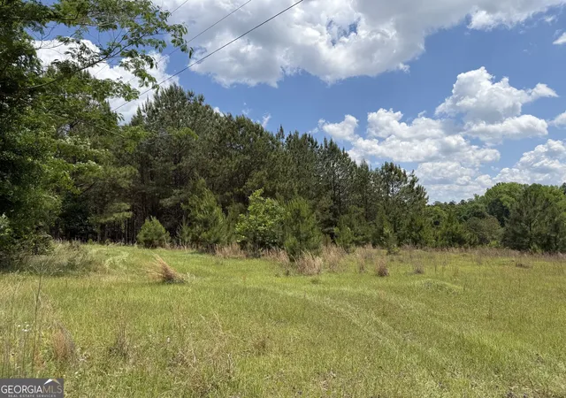 1st image of 004 Little Sandy Creek Rd, Toomsboro, GA 31090 | MLS# 10822964
