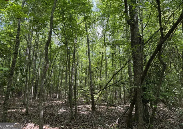 2nd image of 004 Little Sandy Creek Rd, Toomsboro, GA 31090 | MLS# 10822964