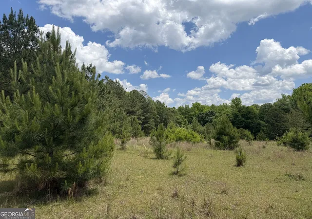 Photo 3 of Land for sale at 004 Little Sandy Creek Rd, Toomsboro, GA 31090 | MLS# 10822964 | Listing updated on 2026-08-24