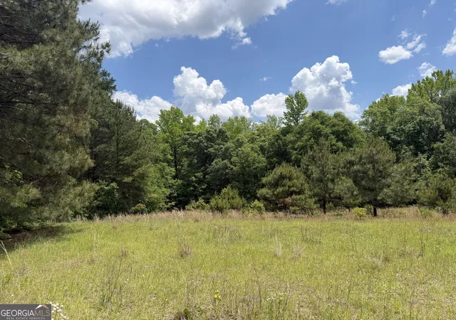 Photo 3 of Land for sale at 004 Little Sandy Creek Rd, Toomsboro, GA 31090 | MLS# 10822964 | Listing updated on 2026-08-24
