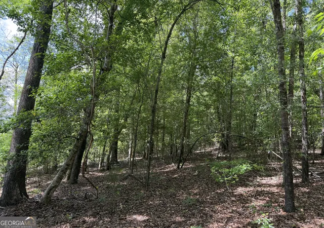 7th image of 004 Little Sandy Creek Rd, Toomsboro, GA 31090 | MLS# 10822964