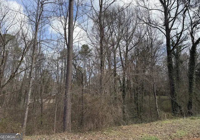 2nd image of 66 Red Top Cir, Emerson, GA 30137 | MLS# 10801729