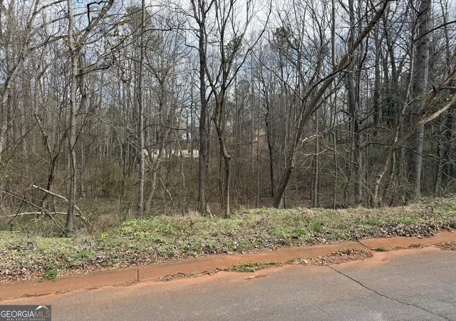 3rd image of 66 Red Top Cir, Emerson, GA 30137 | MLS# 10801729