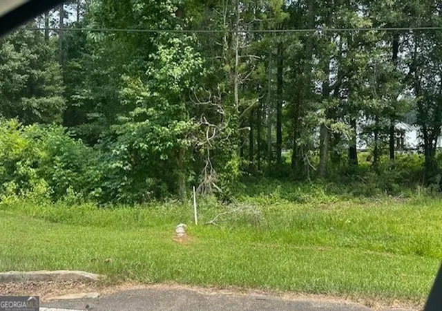 Photo 1 of Land for sale at 0 Hwy 54, Sharpsburg, GA 30277 | MLS# 10555371 | Listing updated on 2026-09-15