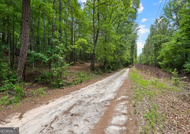 Photo 1 of Land for sale at 0 Terry Rd, Fairburn, GA 30213 | MLS# 10794353 | Listing updated on 2026-07-10