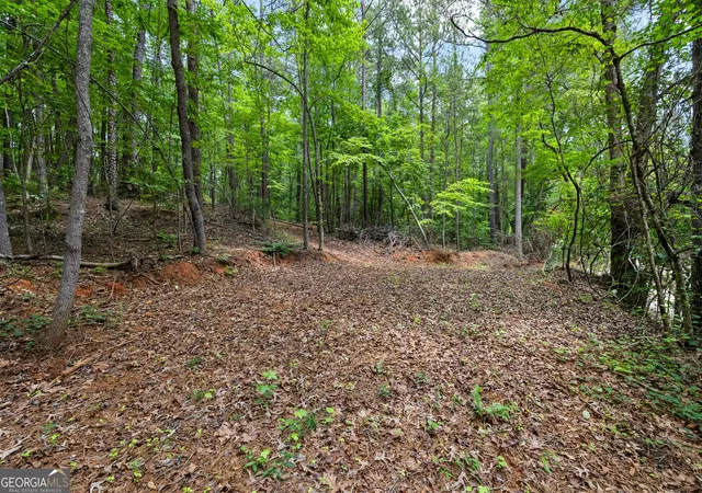 Photo 2 of Land for sale at 0 Terry Rd, Fairburn, GA 30213 | MLS# 10794353 | Listing updated on 2026-07-10