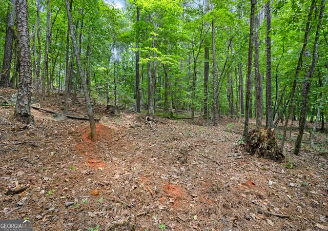 Photo 3 of Land for sale at 0 Terry Rd, Fairburn, GA 30213 | MLS# 10794353 | Listing updated on 2026-07-10