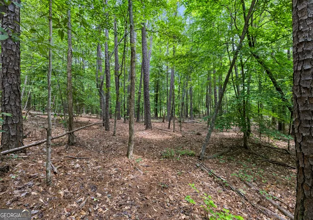 Photo 3 of Land for sale at 0 Terry Rd, Fairburn, GA 30213 | MLS# 10794353 | Listing updated on 2026-07-10