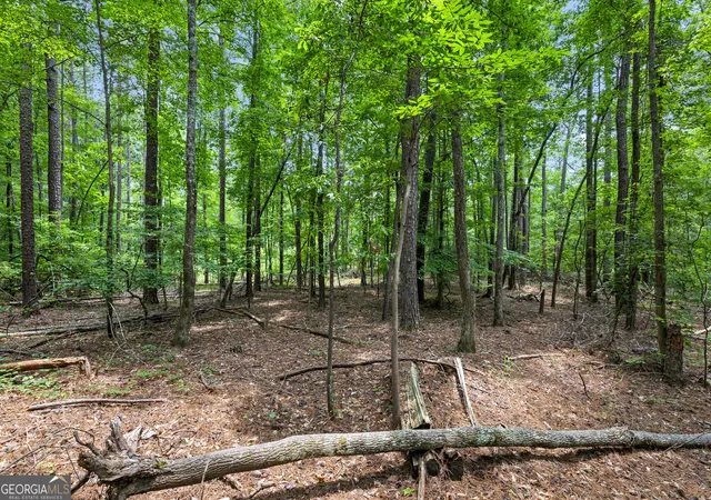 Photo 4 of Land for sale at 0 Terry Rd, Fairburn, GA 30213 | MLS# 10794353 | Listing updated on 2026-07-10