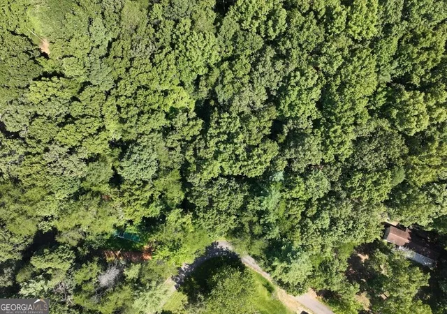 26th image of 0 Popular Dr #LOT 4, Blairsville, GA 30512 | MLS# 10831663