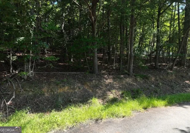 5th image of 0 Popular Dr #LOT 4, Blairsville, GA 30512 | MLS# 10831663