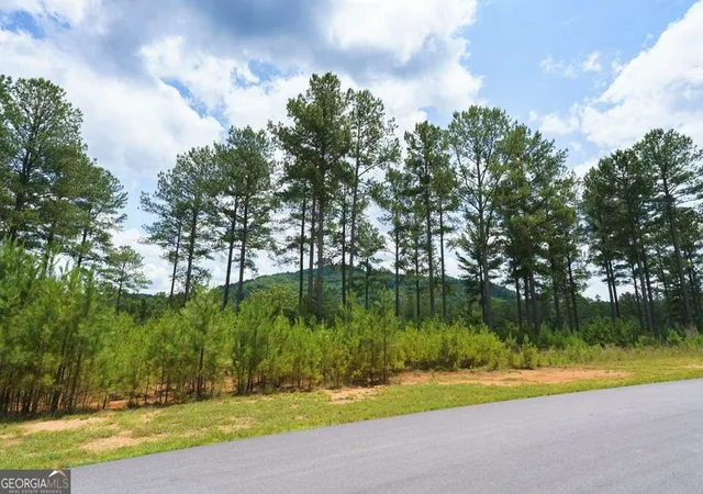 3rd image of Lot 343 Loop Ln, Blairsville, GA 30512 | MLS# 10798078