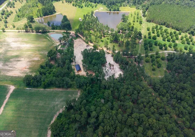Land for sale at 0 Pittman Rd, Cobbtown, GA 30420 | MLS# 10810135