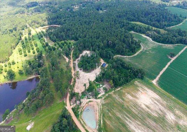 Photo 3 of Land for sale at 0 Pittman Rd, Cobbtown, GA 30420 | MLS# 10810135 | Listing updated on 2026-08-05