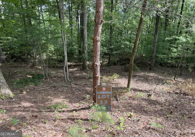 Photo 1 of Land for sale at Lot13 Sour Apple Ln #13, Blairsville, GA 30512 | MLS# 10570499 | Listing updated on 2026-07-30