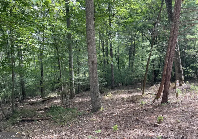 Photo 3 of Land for sale at Lot13 Sour Apple Ln #13, Blairsville, GA 30512 | MLS# 10570499 | Listing updated on 2026-07-30