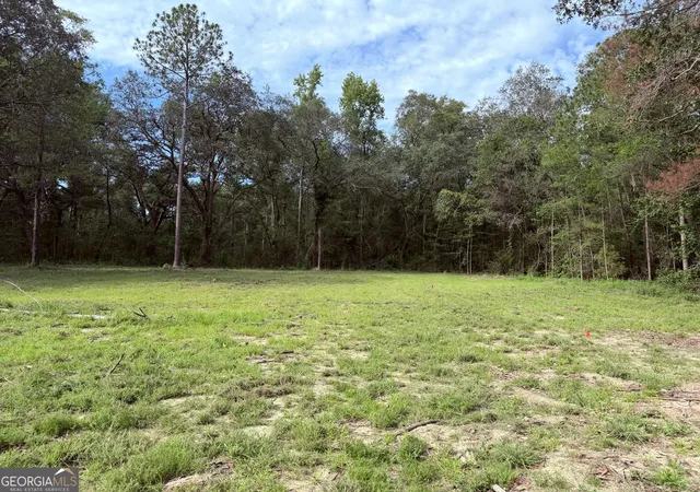 Homes for sale in Claxton, GA | 3980 Mosely Road Road, Claxton, GA 30417 | MLS# 10800248