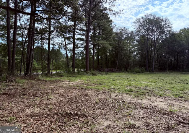 Homes for sale in Claxton, GA | 3980 Mosely Road Road, Claxton, GA 30417 | MLS# 10800248