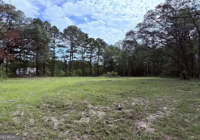 Homes for sale in Claxton, GA | 3980 Mosely Road Road, Claxton, GA 30417 | MLS# 10800248