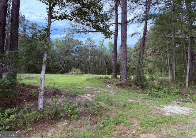 Homes for sale in Claxton, GA | 3980 Mosely Road Road, Claxton, GA 30417 | MLS# 10800248