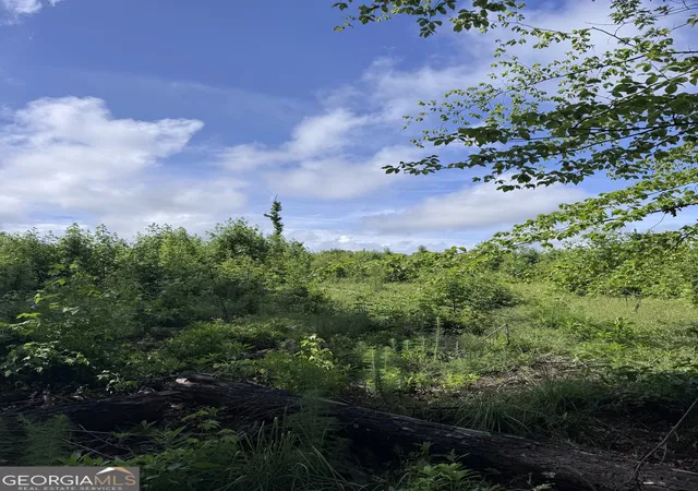 Photo 3 of Land for sale at 0 Po Biddy Rd, Thomaston, GA 30286 | MLS# 10780890 | Listing updated on 2026-08-29