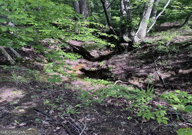 Photo 3 of Land for sale at 0 Po Biddy Rd, Thomaston, GA 30286 | MLS# 10780890 | Listing updated on 2026-08-29