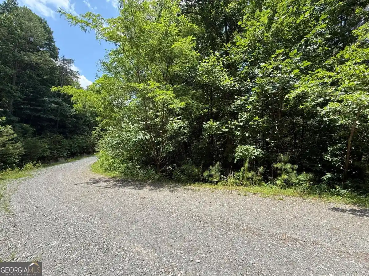 Photo 1 of Land for sale at Lot E9 Reece Mountain Rd, Ellijay, GA 30536 | MLS# 10852247 | Listing updated on 2026-10-08