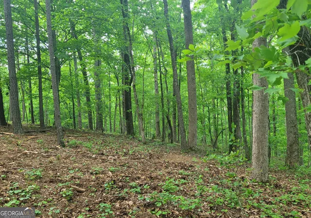 Photo 3 of Land for sale at 0 Fincherville Rd, Jackson, GA 30233 | MLS# 10781486 | Listing updated on 2026-06-22