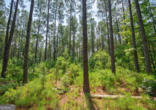 Photo 1 of Land for sale at 0 Jabez Poyner Rd, Carlton, GA 30627 | MLS# 10817816 | Listing updated on 2026-08-17