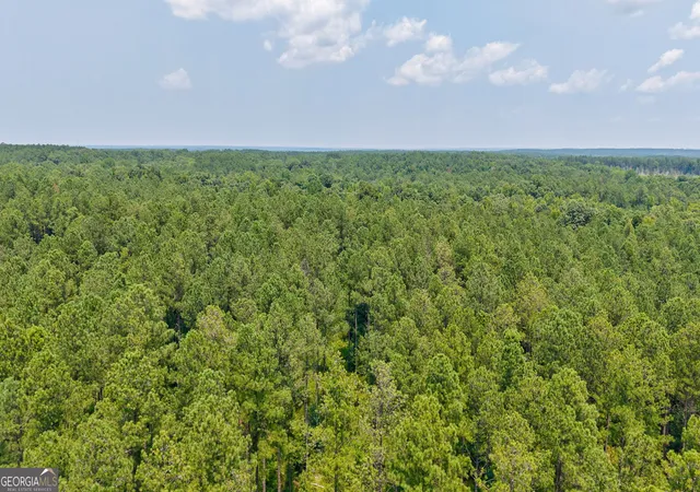 Photo 25 of Land for sale at 0 Jabez Poyner Rd, Carlton, GA 30627 | MLS# 10817816 | Listing updated on 2026-08-17