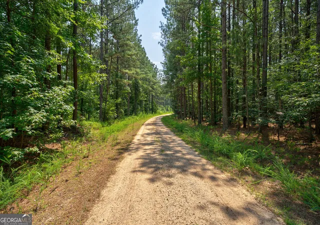 Photo 2 of Land for sale at 0 Jabez Poyner Rd, Carlton, GA 30627 | MLS# 10817816 | Listing updated on 2026-08-17