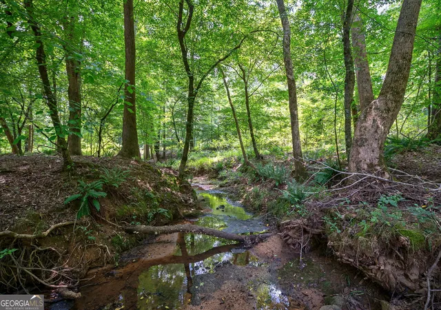 Photo 3 of Land for sale at 0 Jabez Poyner Rd, Carlton, GA 30627 | MLS# 10817816 | Listing updated on 2026-08-17