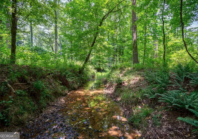 Photo 4 of Land for sale at 0 Jabez Poyner Rd, Carlton, GA 30627 | MLS# 10817816 | Listing updated on 2026-08-17
