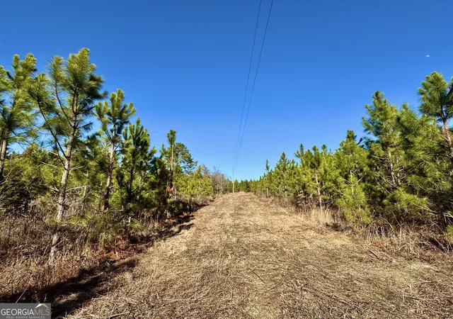 2nd image of 0 Mcdaniel Dr, Dexter, GA 31019 | MLS# 10784347