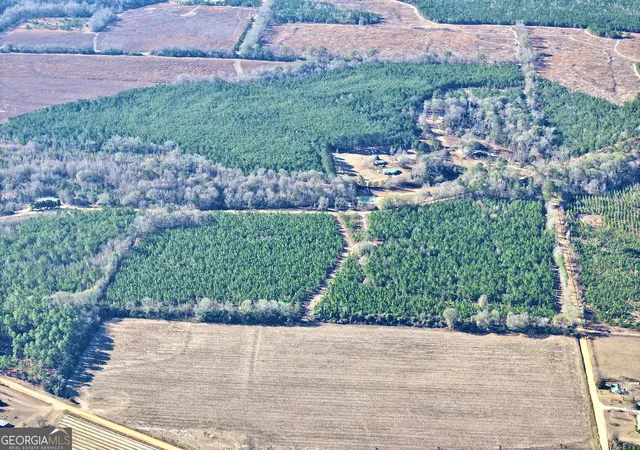 3rd image of 0 Mcdaniel Dr, Dexter, GA 31019 | MLS# 10784347