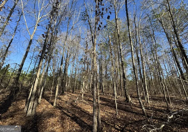 5th image of 0 Mcdaniel Dr, Dexter, GA 31019 | MLS# 10784347